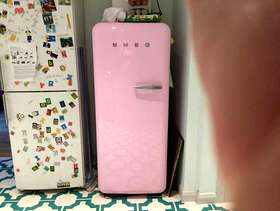 Freecycle Smeg fridge