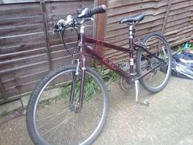 Freecycle Women's bike