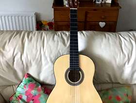 Freecycle Guitar