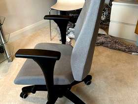 Freecycle Stylish Office Chair