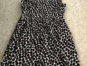 Freecycle Zara 50’s style dress