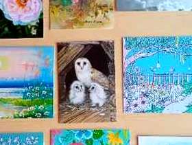 Freecycle Bag of over 100 Unused Greetings Cards