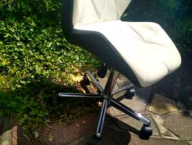 Freecycle Computer swivel chair