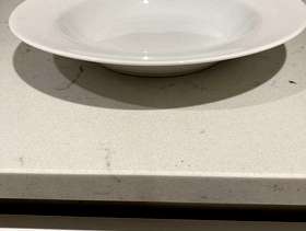 Freecycle White China Plates