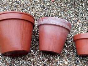 Freecycle 3 terracotta plant pots