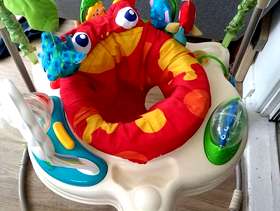 Freecycle Jumperoo
