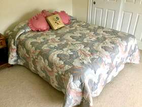 Freecycle Queen bed