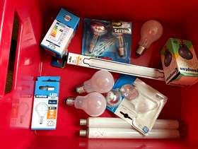 Freecycle Screw in LED light bulbs