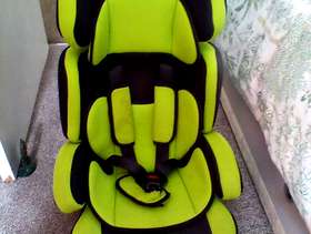 Freecycle Car Seat