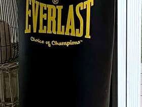 Freecycle Everlast suspended punch bag