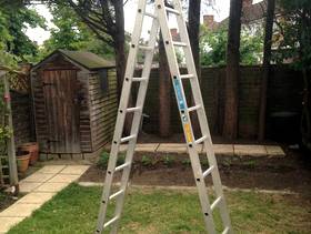 Freecycle 3m long ladder
