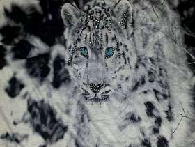 Freecycle Leopard T-Shirt - Medium Size