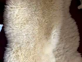 Freecycle 2 sheepskin rugs (as new)