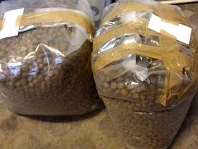 Freecycle Dog food