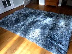 Freecycle Shaggy rug