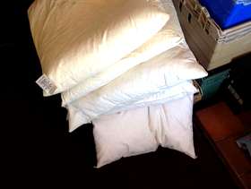 Freecycle Pillows