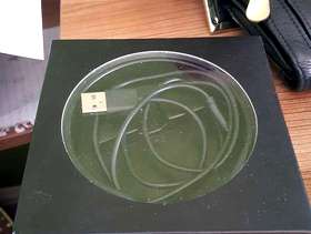 Freecycle Amazon Alexis Base