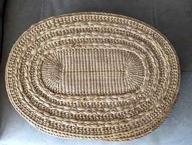 Freecycle Large Placemats