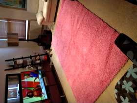 Freecycle Pink Rug