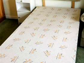 Freecycle Two single divan beds one with headboard