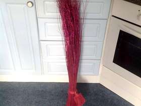 Freecycle Decorative Spray