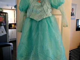Freecycle Disney dress princess dress up outfits.
