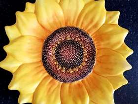 Freecycle Sunflower Plate