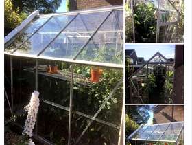 Freecycle 8 x 6 greenhouse