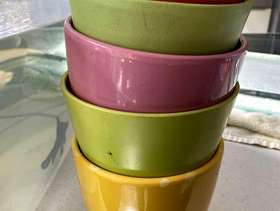 Freecycle Plant pots
