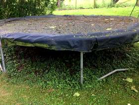 Freecycle Trampoline
