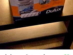 Freecycle Dulux paint pod
