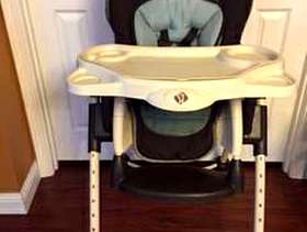 Freecycle Pegasus Premier High Chair