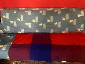 Freecycle Sofa bed