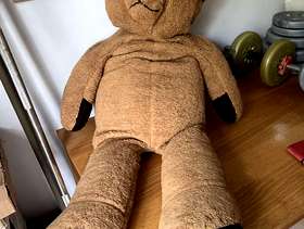 Freecycle Edward the 4-foot bear.