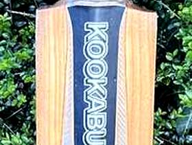 Freecycle Cricket bat for year 7 and up