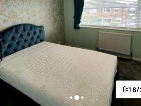 Freecycle Electric (small Double) Bed