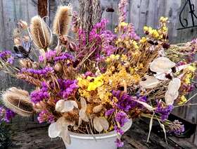 Freecycle Huge quantity of dried flowers