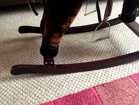 Freecycle Rocking Horse