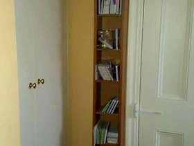 Freecycle Cd shelves
