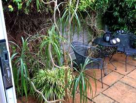 Freecycle House plant