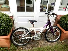 Freecycle Angel Dawes kids bike