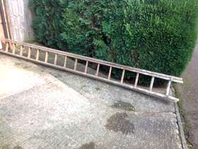 Freecycle Ladder