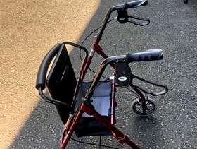 Freecycle Rollator