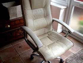 Freecycle Office swivel chair