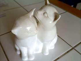 Freecycle Cats anment