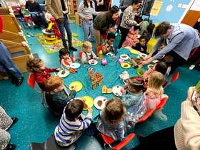 Freecycle Large plant