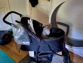 Freecycle Pet carrier