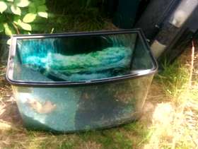 Freecycle Fish Tank
