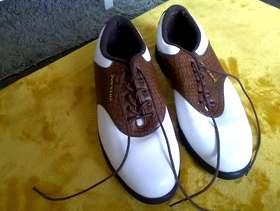 Freecycle Golf shoes