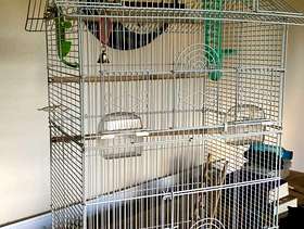 Freecycle Bird Cage & Accessories